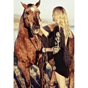 Spell and the Gypsy Wild Horses Mini